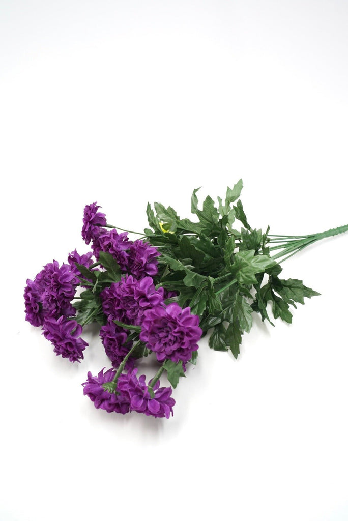 purple-mini-zinnia-bush-