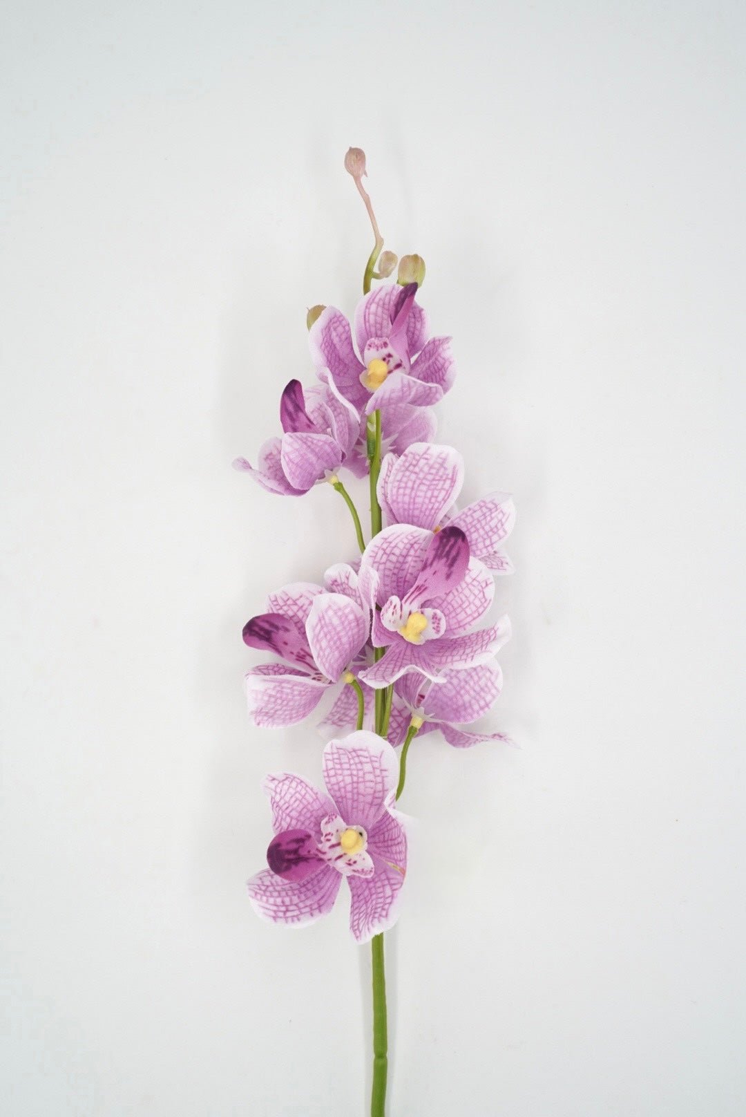 Purple Mokara Orchid Stem - 22" - Greenery MarketArtificial Flowers64051PU