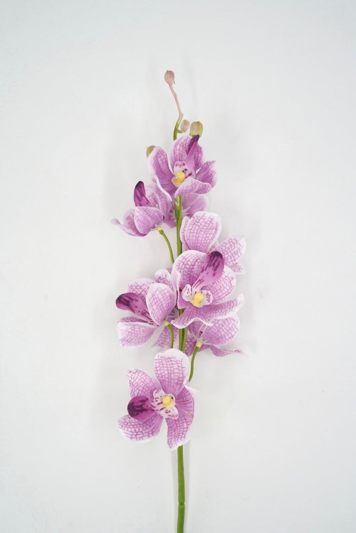 Purple Mokara Orchid Stem - 22" - Greenery MarketArtificial Flowers64051PU