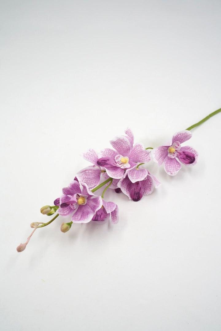 Purple Mokara Orchid Stem - 22" - Greenery MarketArtificial Flowers64051PU