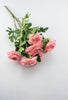 Ranunculus bush - pink - Greenery Market27424