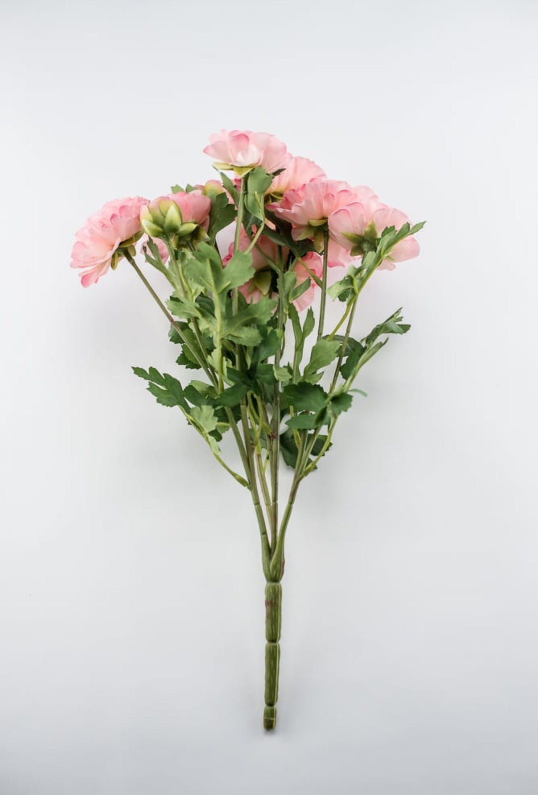 Pink Ranunculus Bush Ranunculus bush - pink - Greenery Market