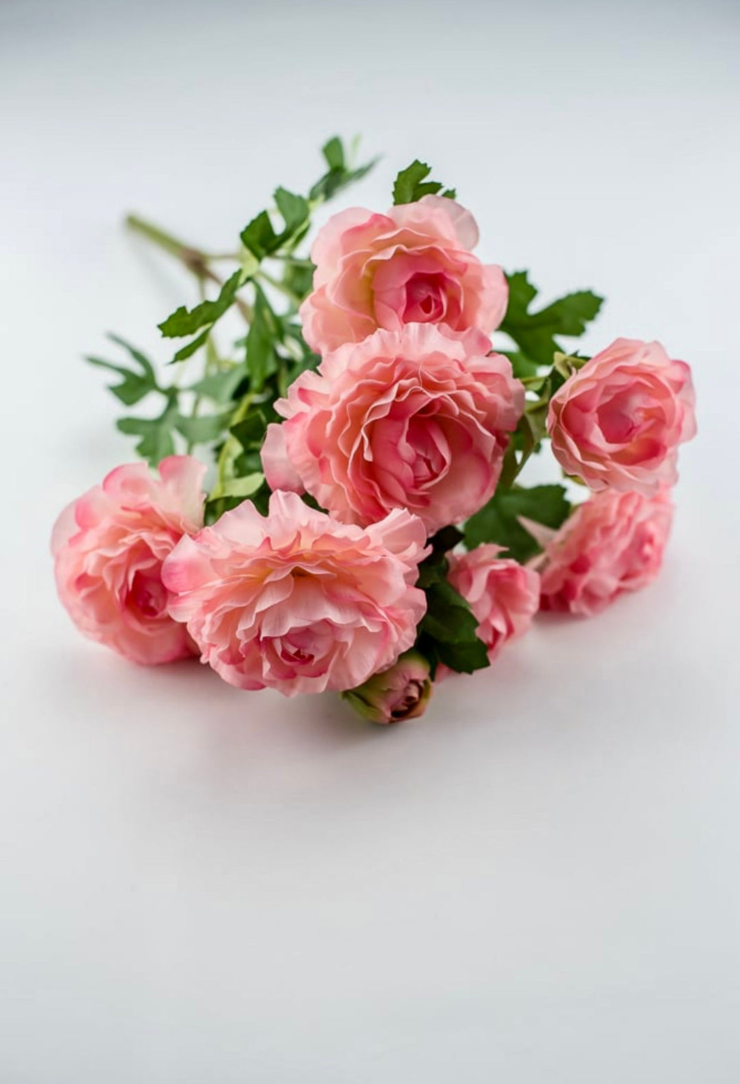 Pink Ranunculus Bush Ranunculus bush - pink - Greenery Market