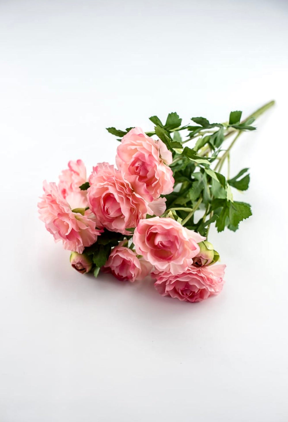 Ranunculus bush - pink - Greenery Market27424