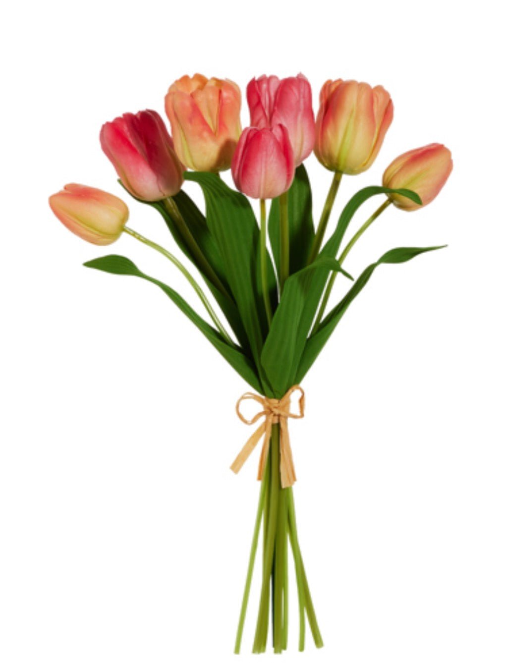 RAZ Coral & Pink Real Touch Tulip Bundle - 14" - Greenery MarketF4602028