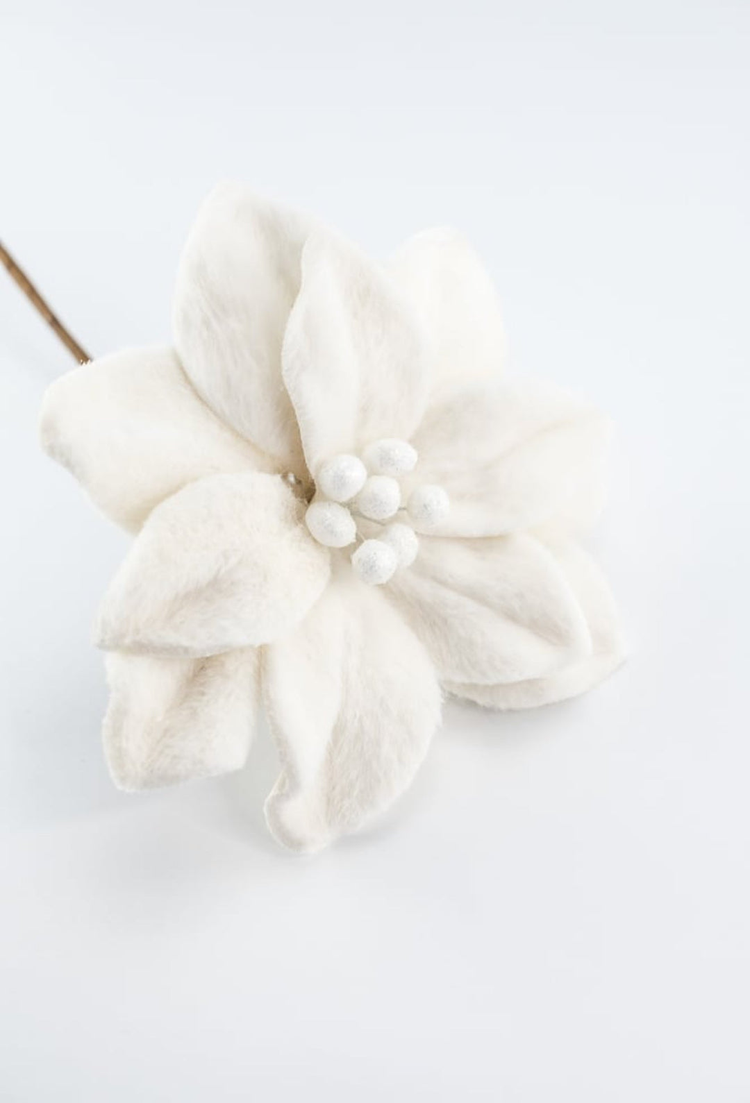 Raz, cream felt poinsettias stem - Greenery MarketF4406701