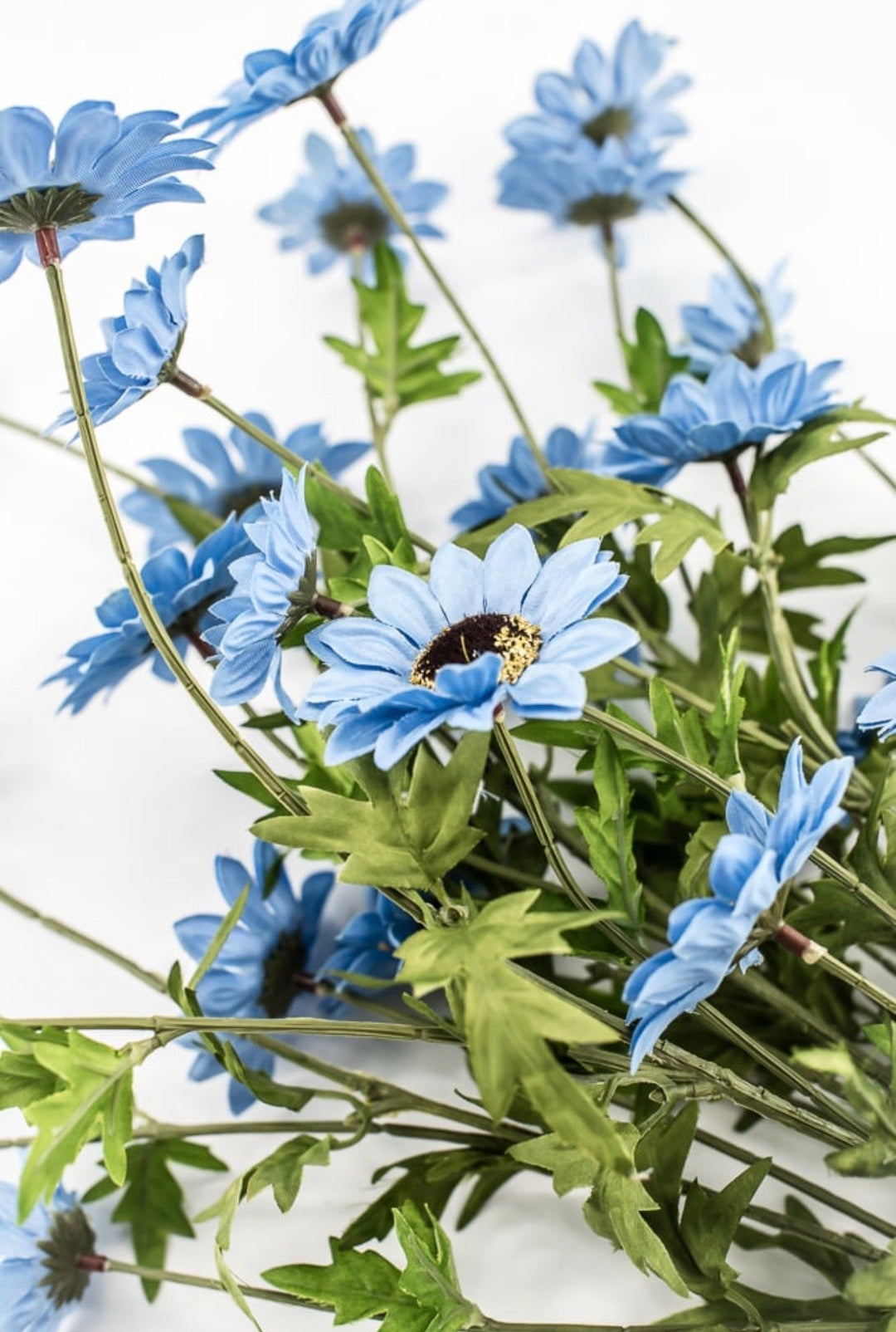 RAZ Imports, Artificial, Blue, Black - Eyed Susan Bush - 25" - Greenery MarketF4502143