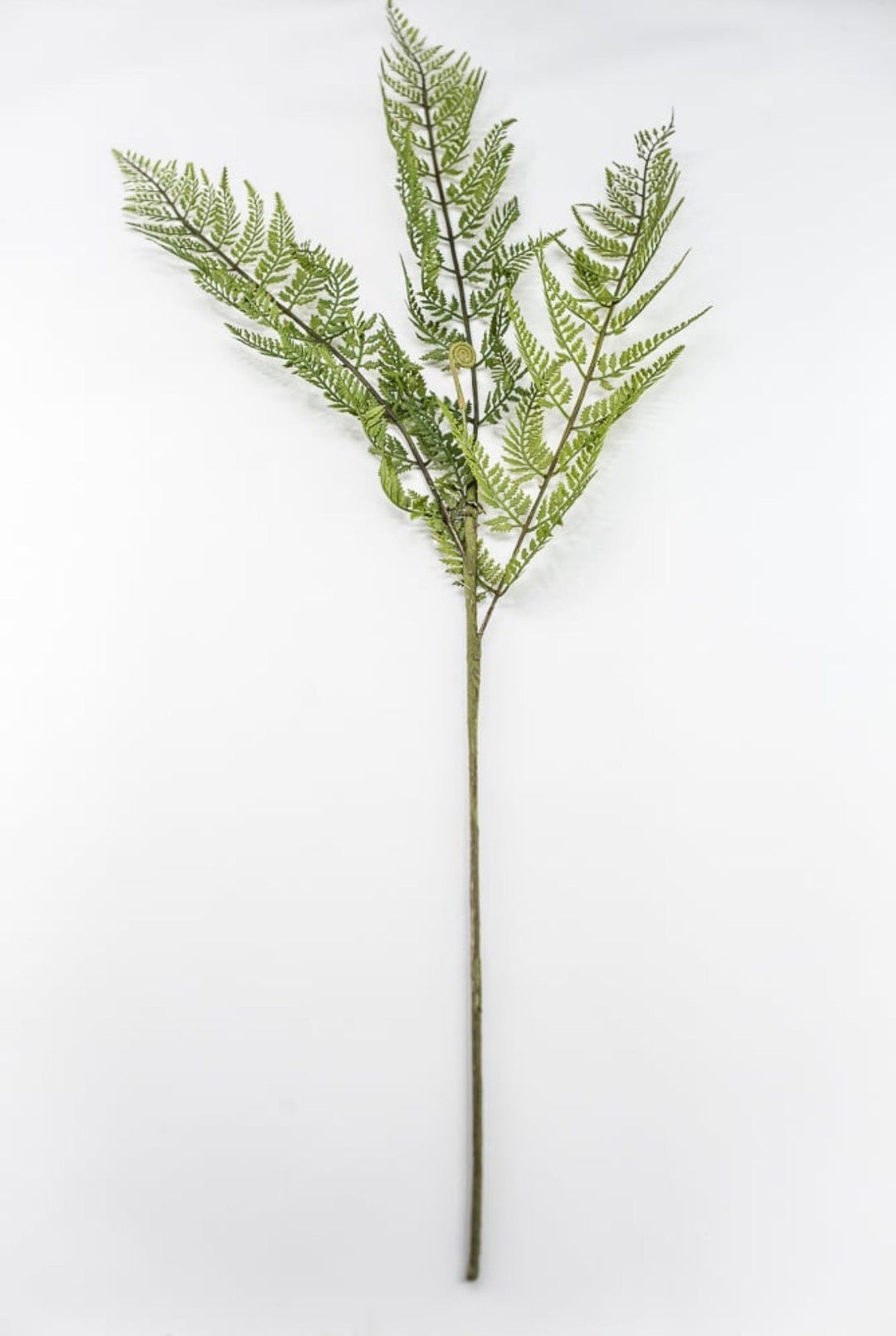 RAZ Imports, Artificial Fern Spray - 43" - Greenery MarketF4541724