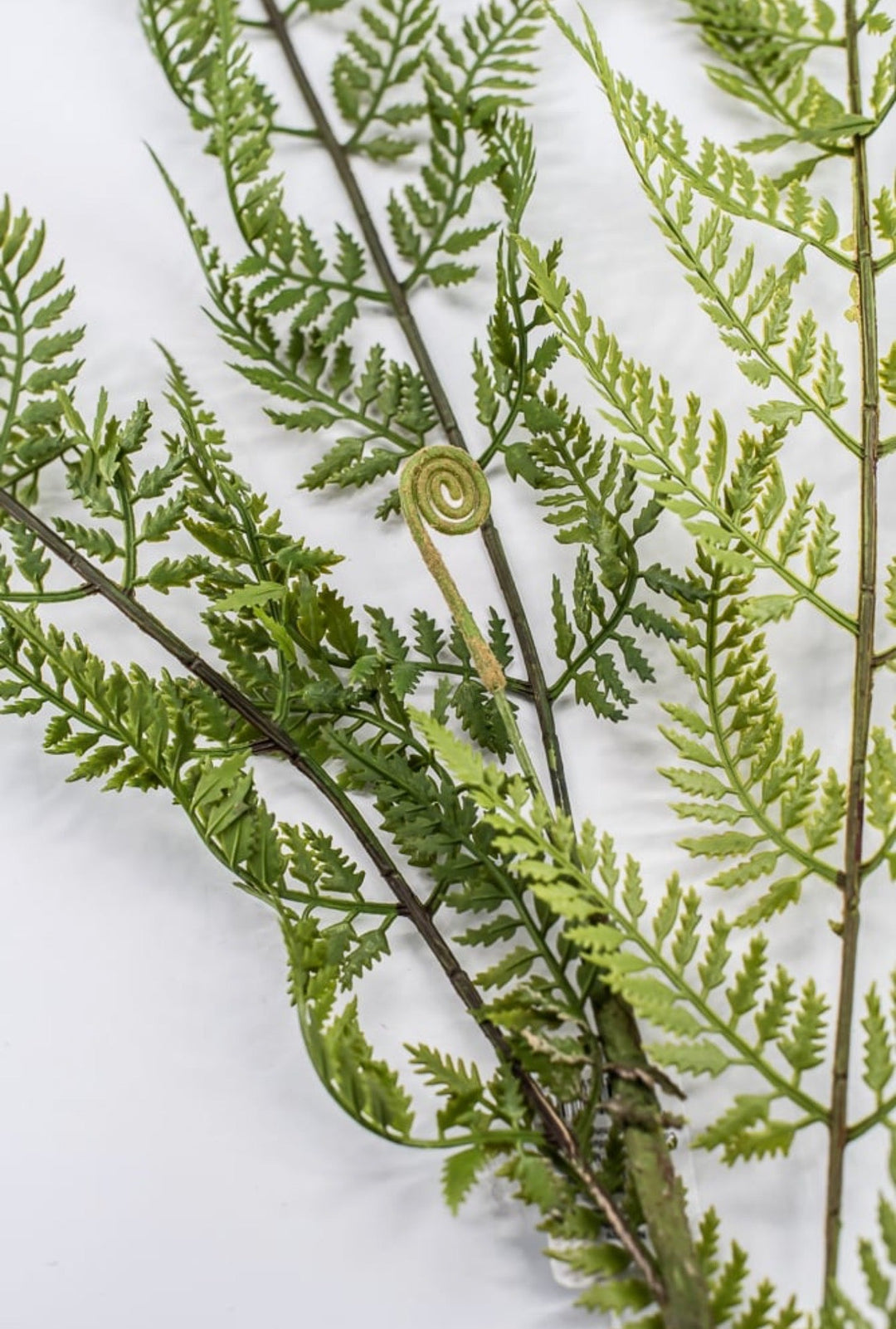 RAZ Imports, Artificial Fern Spray - 43" - Greenery MarketF4541724