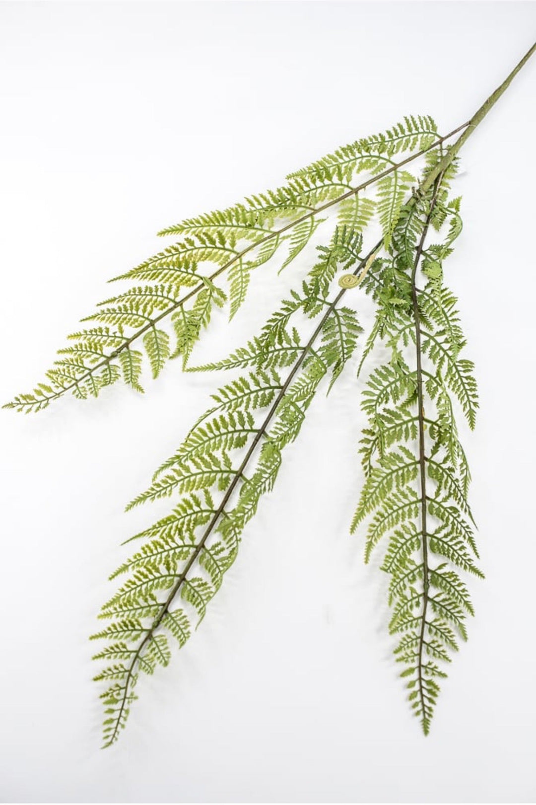 RAZ Imports, Artificial Fern Spray - 43" - Greenery MarketF4541724