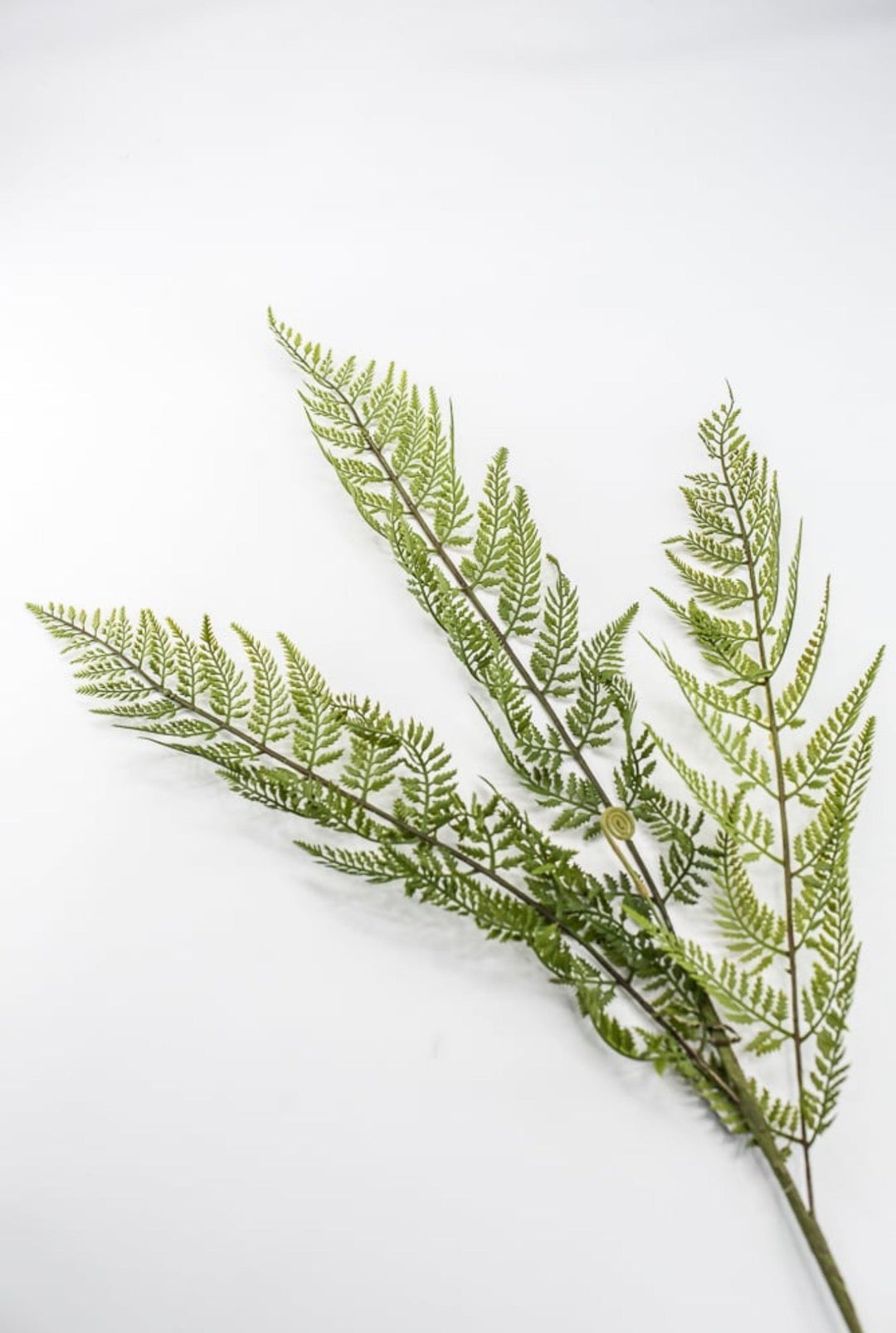 RAZ Imports, Artificial Fern Spray - 43" - Greenery MarketF4541724