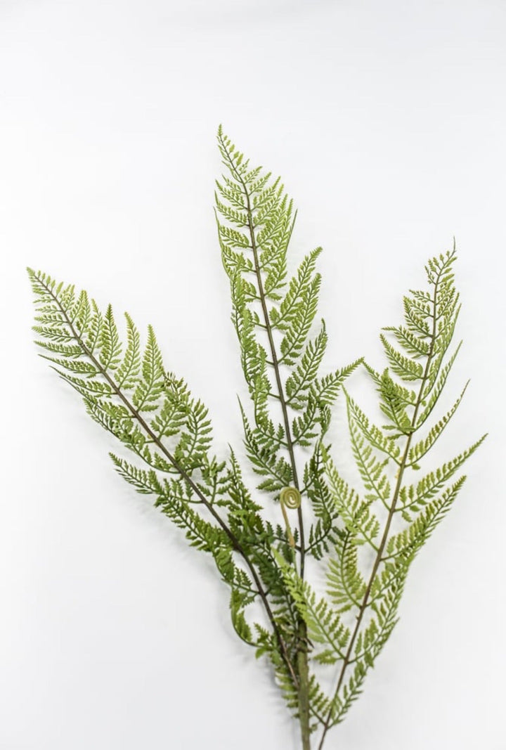 RAZ Imports, Artificial Fern Spray - 43" - Greenery MarketF4541724