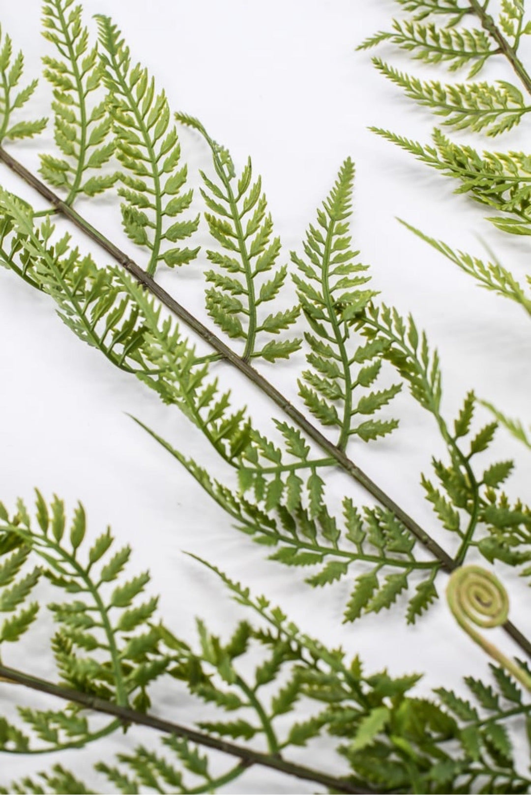 RAZ Imports, Artificial Fern Spray - 43" - Greenery MarketF4541724