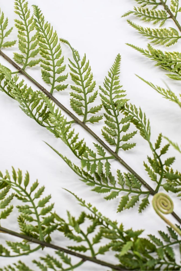 RAZ Imports, Artificial Fern Spray - 43" - Greenery MarketF4541724