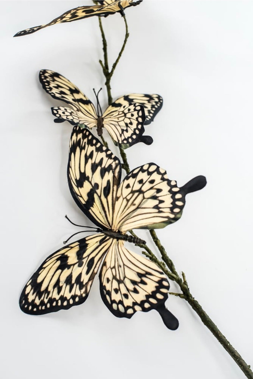 RAZ imports, Butterfly Spray - 32" - Choose Color - Greenery MarketF4622655 Beige