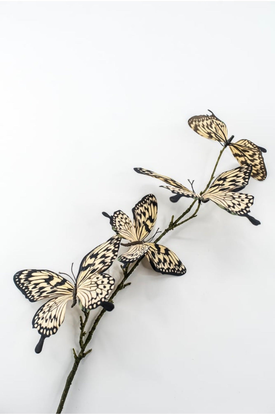 RAZ imports, Butterfly Spray - 32" - Choose Color - Greenery MarketF4622655 Beige