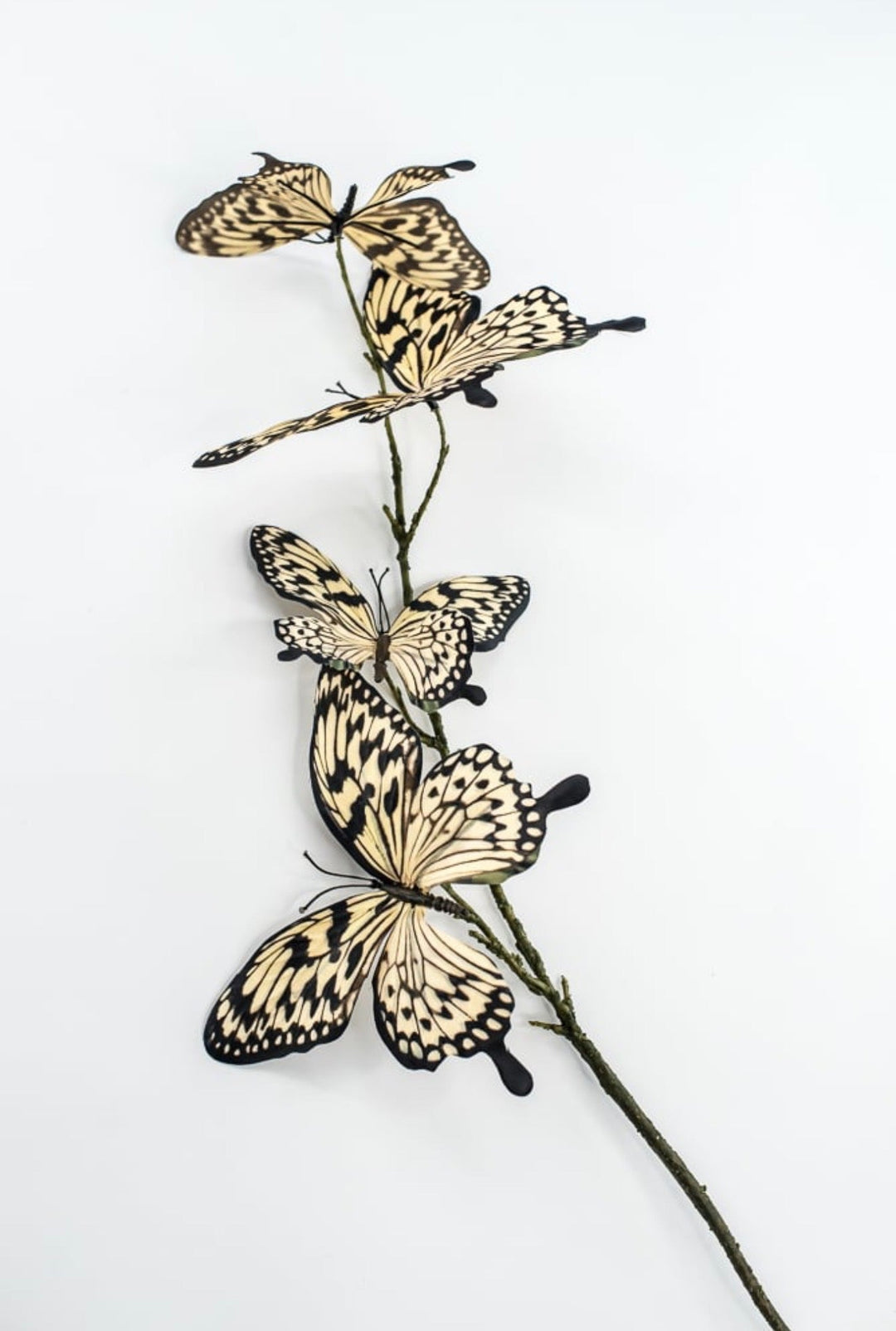 RAZ imports, Butterfly Spray - 32" - Choose Color - Greenery MarketF4622655 Multi