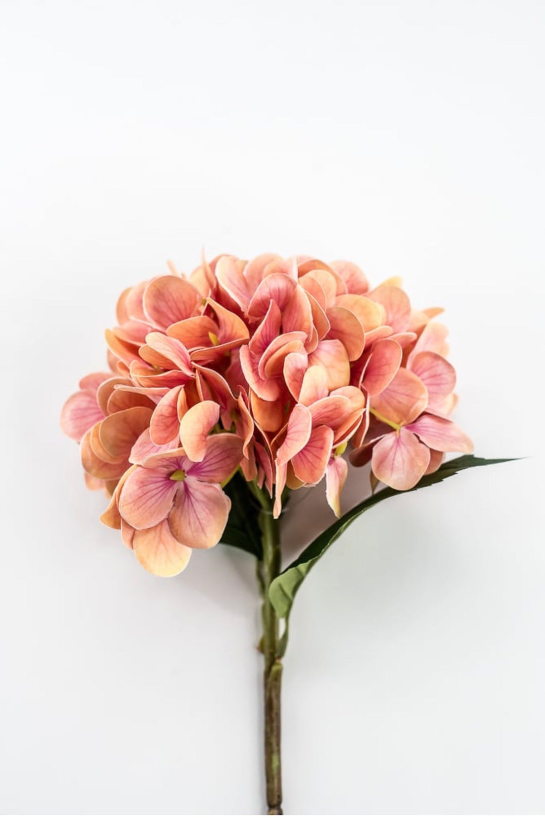RAZ Imports Coral Hydrangea Stem - 18” - Greenery MarketF4602196