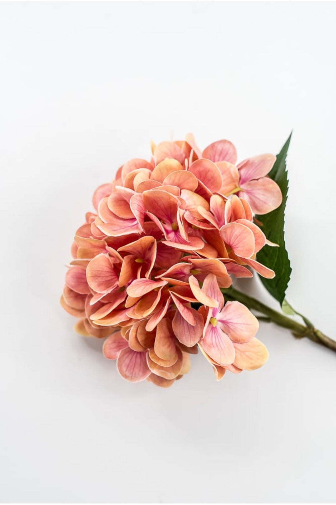 RAZ Imports Coral Hydrangea Stem - 18” - Greenery MarketF4602196