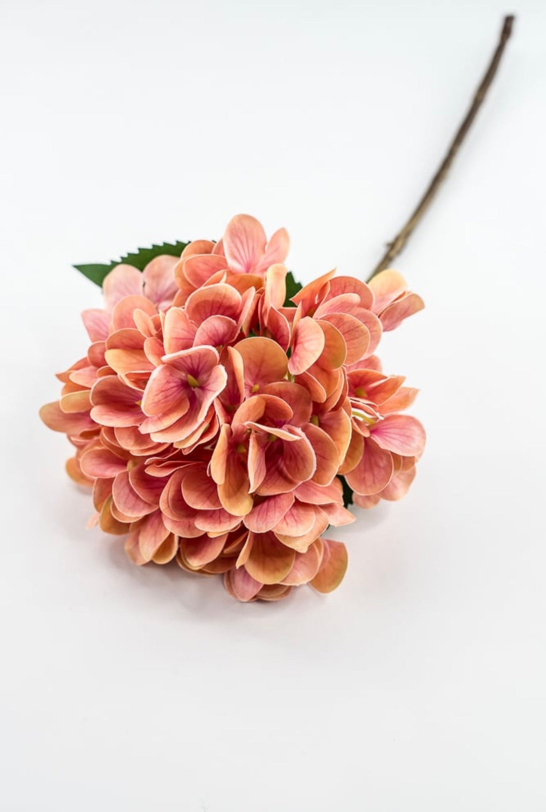 RAZ Imports Coral Hydrangea Stem - 18” - Greenery MarketF4602196