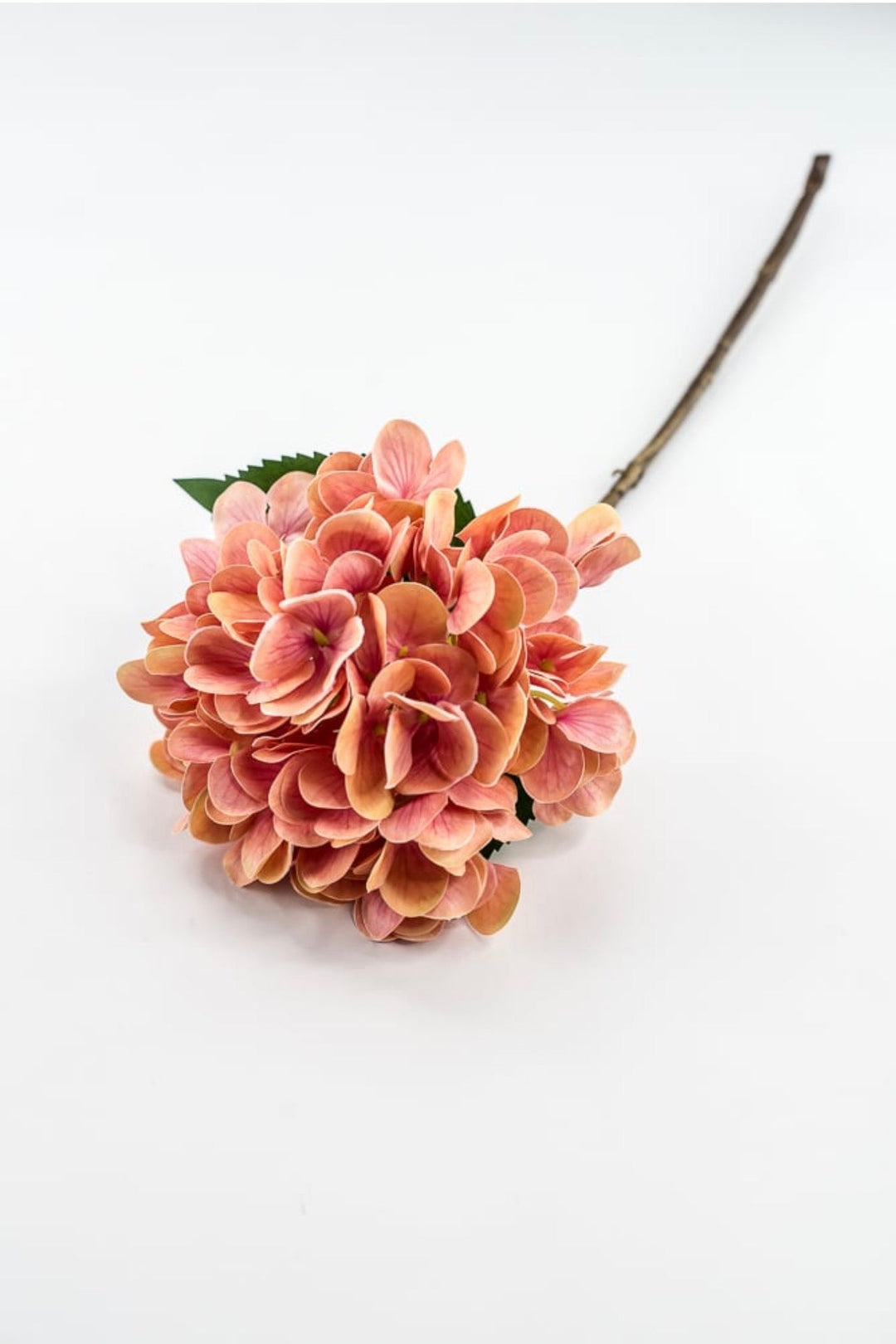 RAZ Imports Coral Hydrangea Stem - 18” - Greenery MarketF4602196