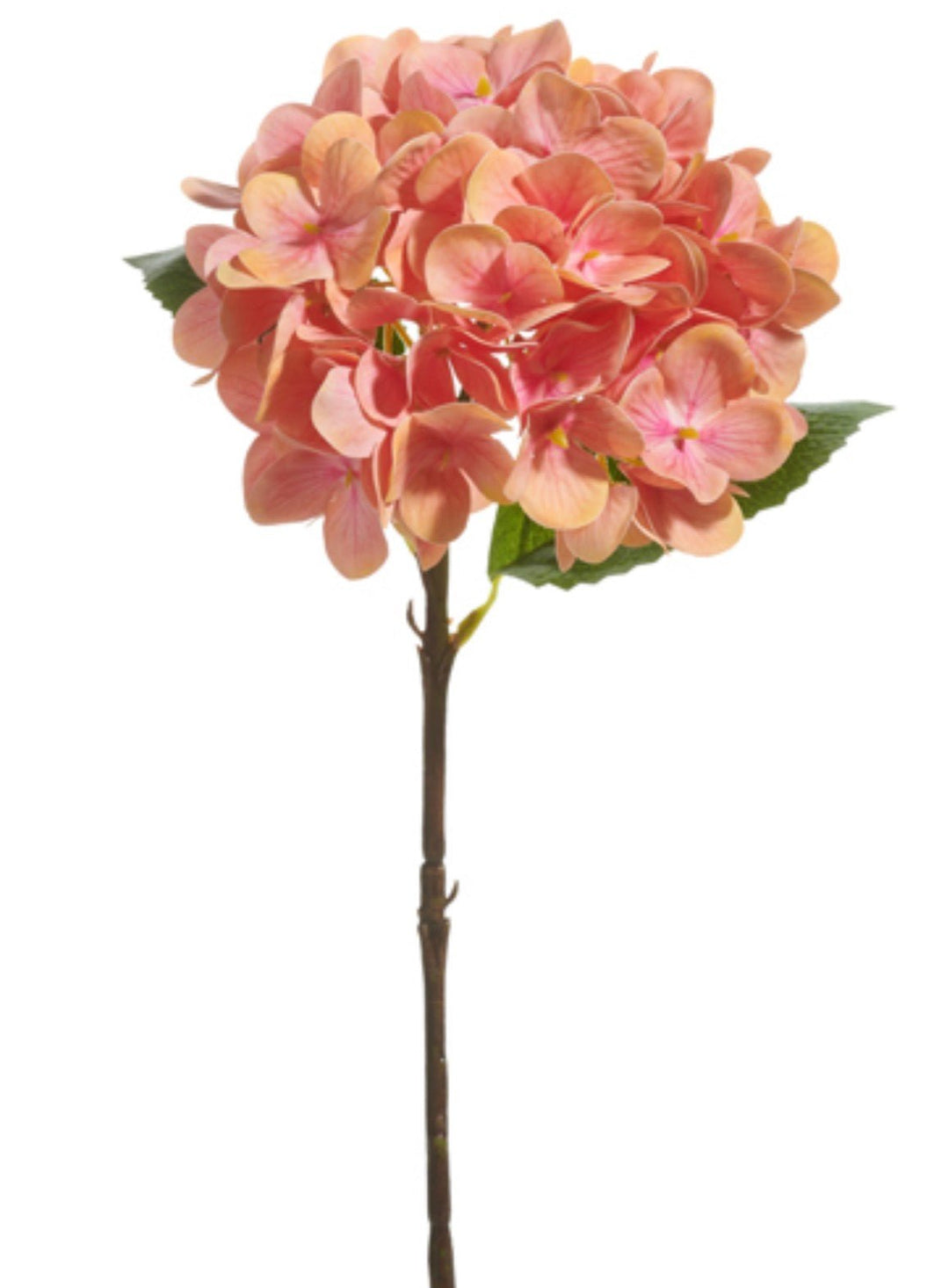 Raz Imports Coral Hydrangea Stem - 18" - Greenery MarketF4602196
