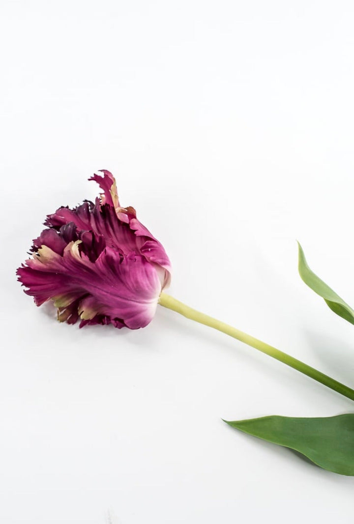 RAZ Imports Dark Magenta Real Touch Parrot Tulip Stem - 23.5" - Greenery MarketF4615289