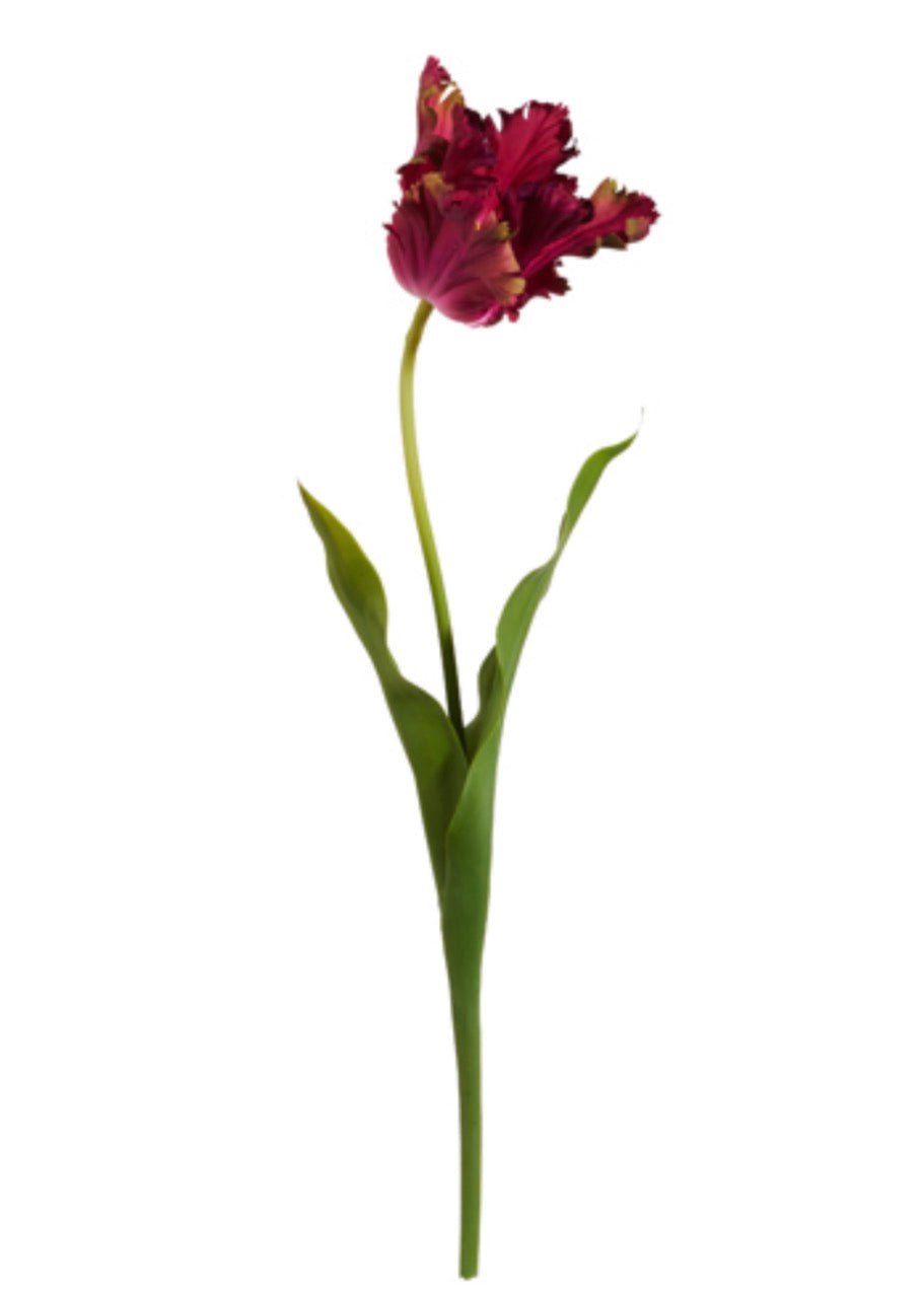 RAZ Imports Dark Pink Real Touch Parrot Tulip Stem - 23.5" - Greenery MarketF4615289