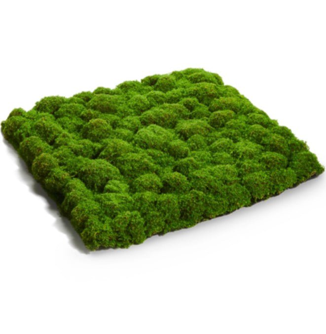 RAZ imports Decorative Moss Mat - 20" - Greenery Market4622706