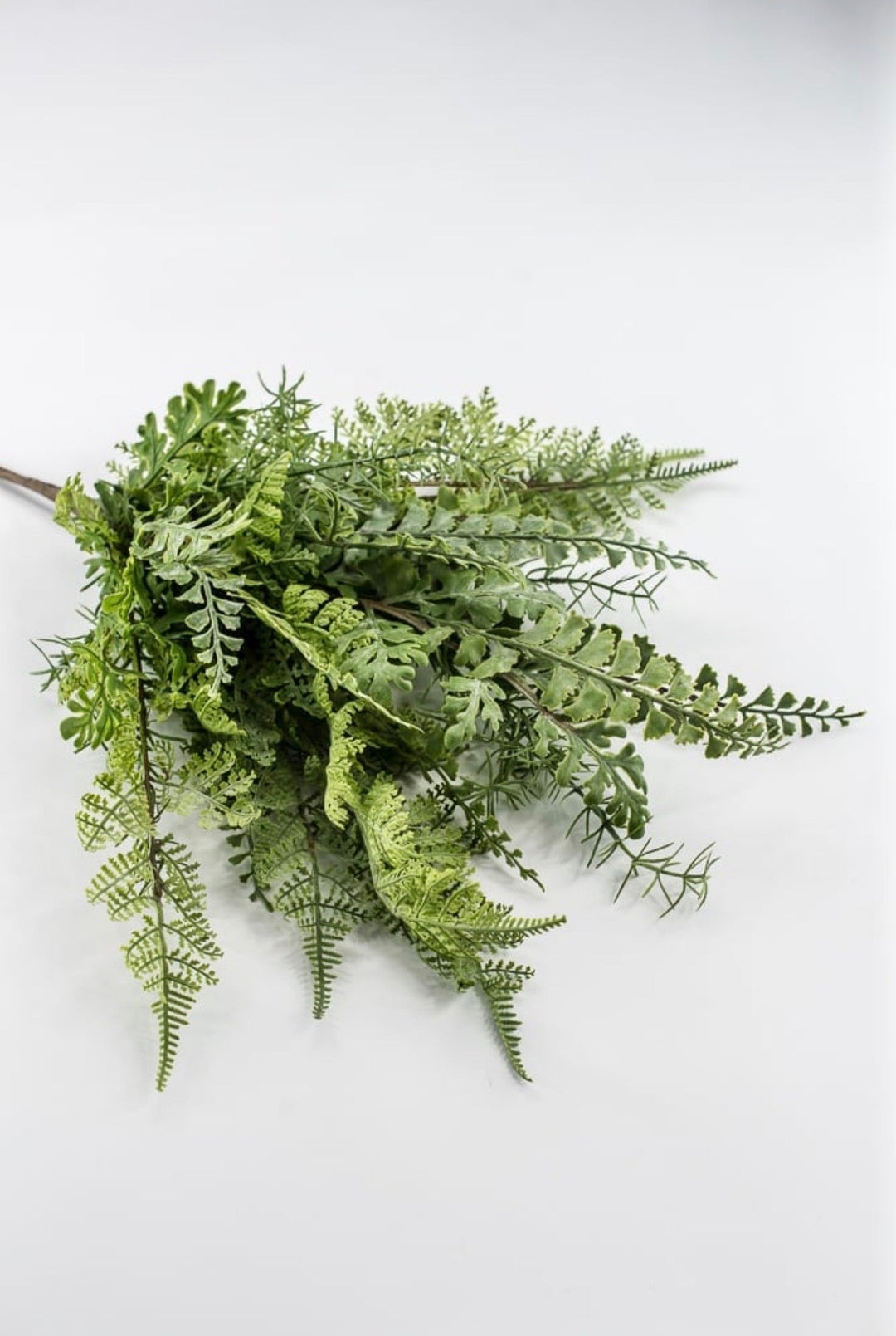 RAZ imports, Dusty Green Fern Bush - 21" - Greenery MarketF4602124