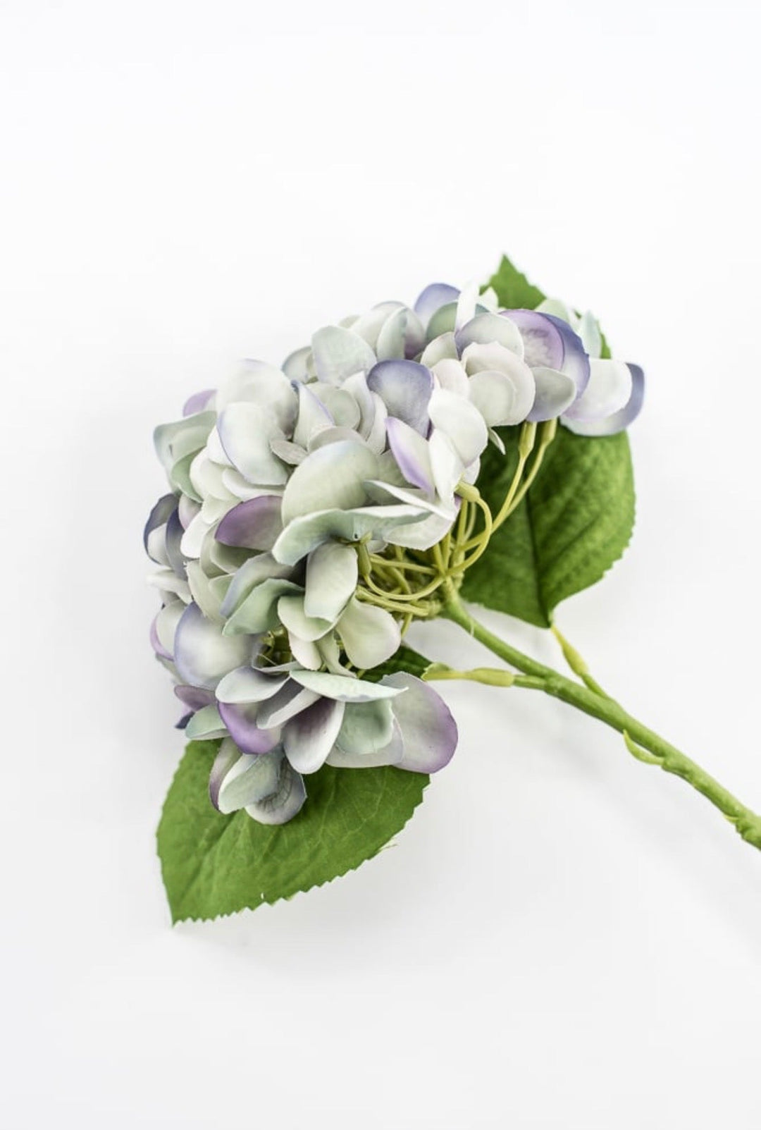 RAZ Imports, Green & Purple Real Touch Hydrangea Stem - 13" - Greenery MarketF4441780