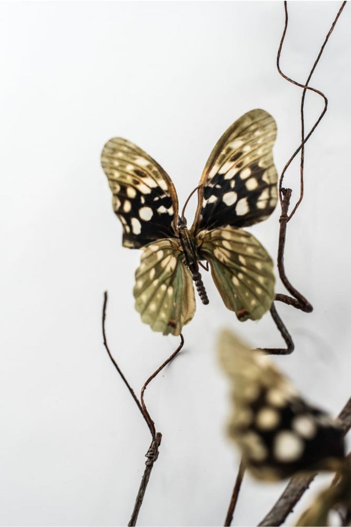 RAZ Imports Natural Butterfly Branch - 48" - Greenery MarketF4622654