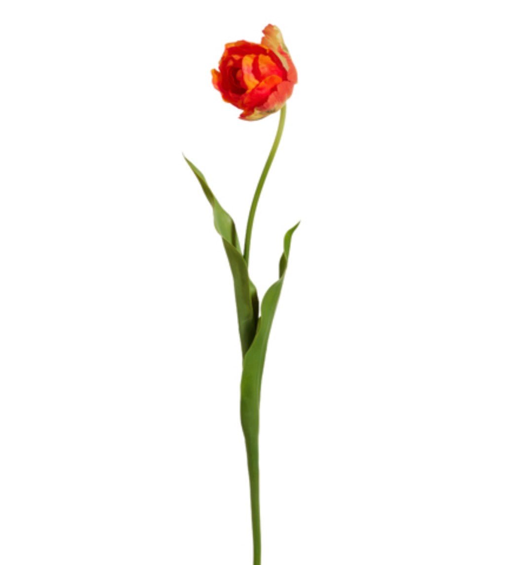 RAZ imports, Orange Real Touch Tulip Stem - 27" - Greenery MarketF4615348
