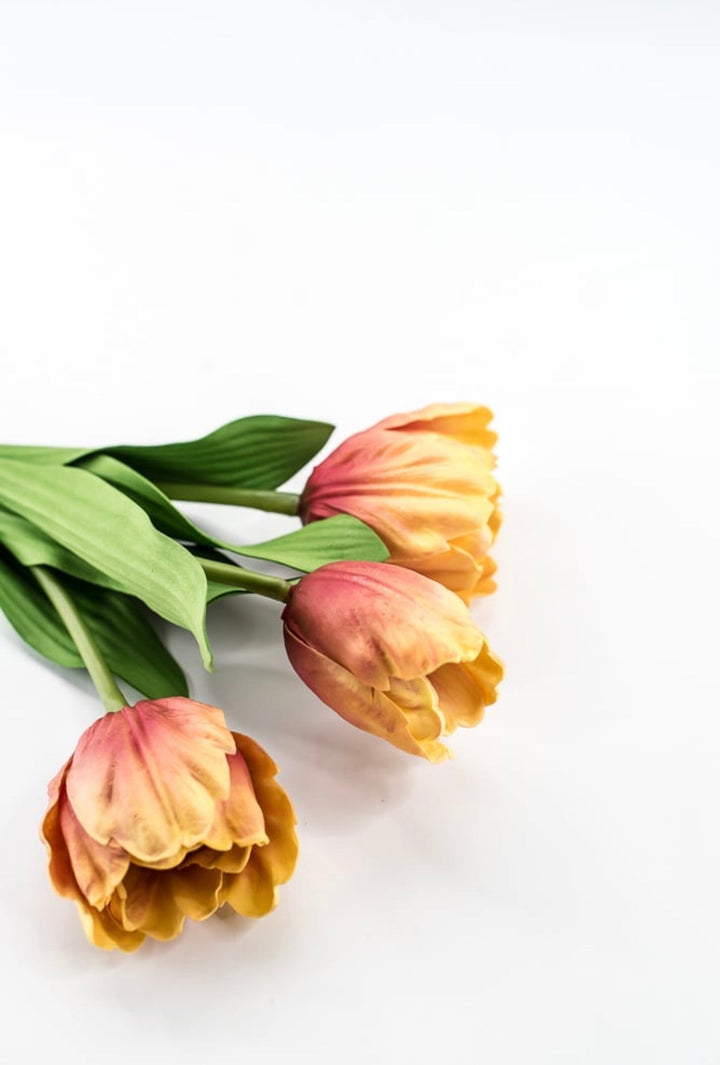 Raz Imports Orange Tulip Bundle - 18" - Greenery MarketF4502138