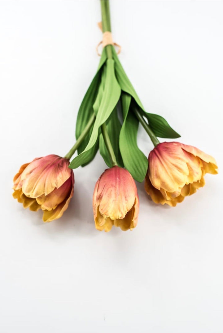 Raz Imports Orange Tulip Bundle - 18" - Greenery MarketF4502138