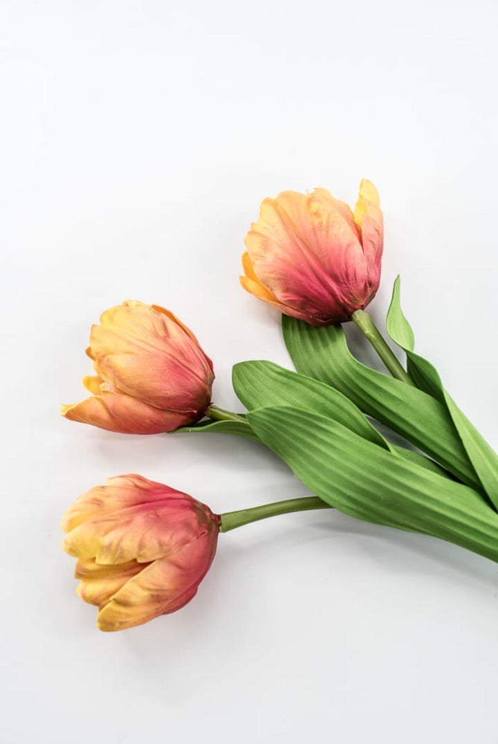 Raz Imports Orange Tulip Bundle - 18" - Greenery MarketF4502138