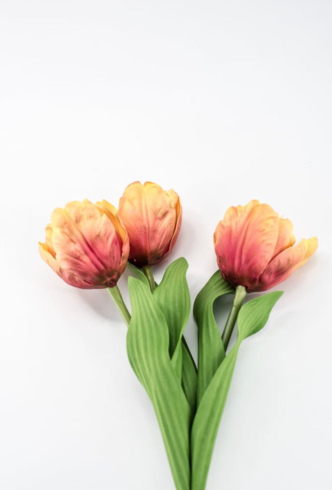 Raz Imports Orange Tulip Bundle - 18" - Greenery MarketF4502138