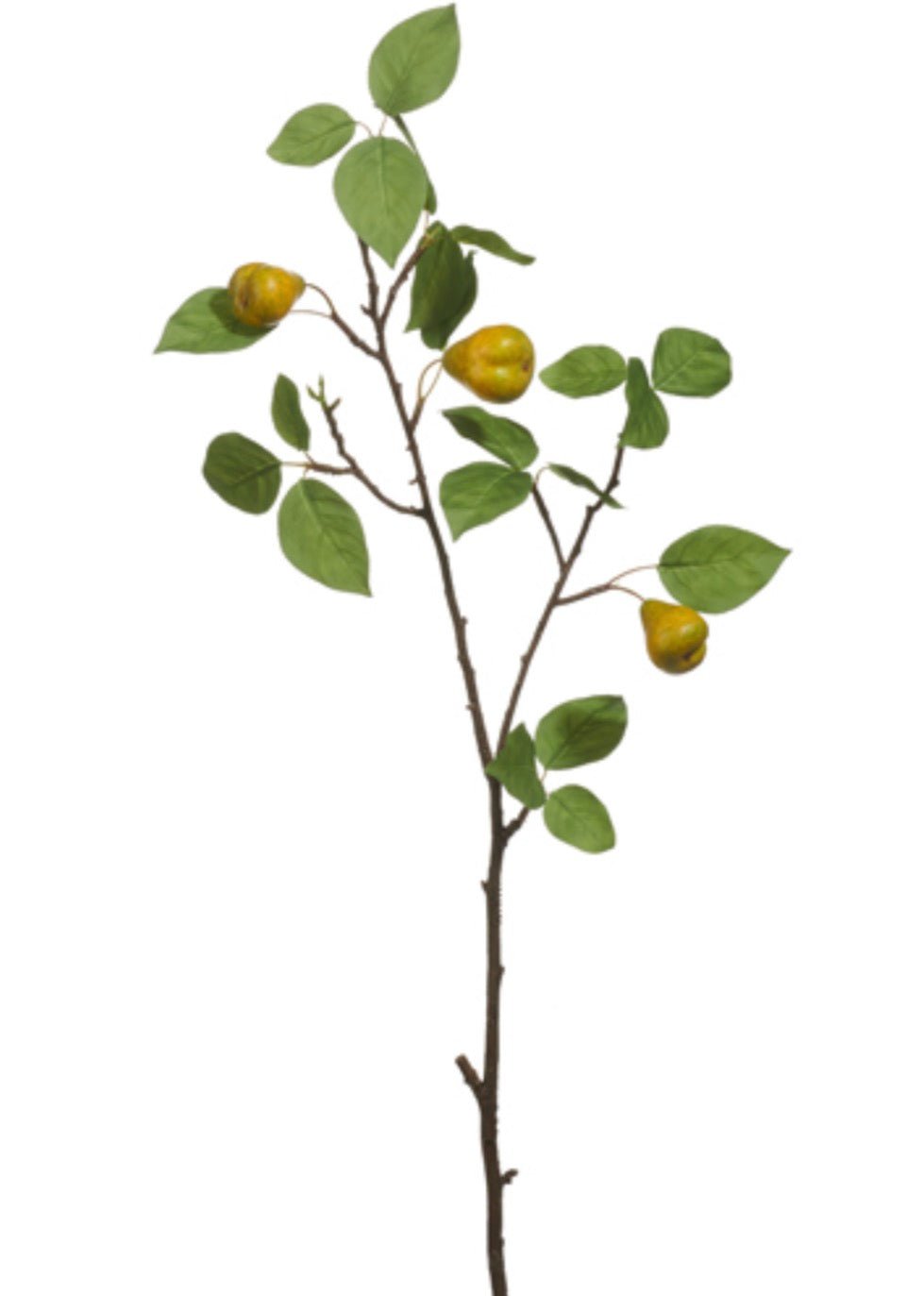 RAZ Imports Pear Fruit Branch - 32" - Greenery MarketF4615301