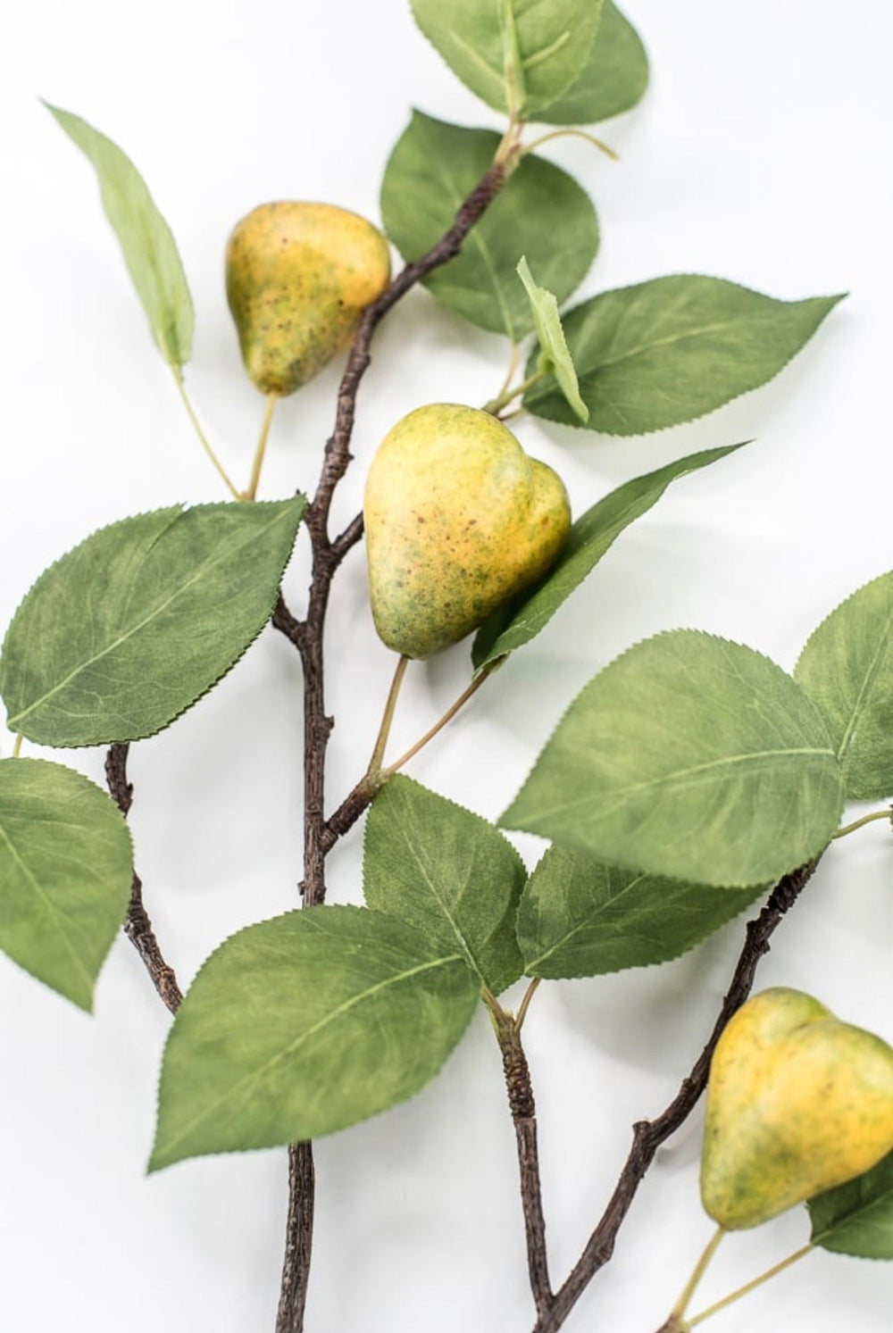 RAZ Imports Pear Fruit Branch - 32" - Greenery MarketF4615301