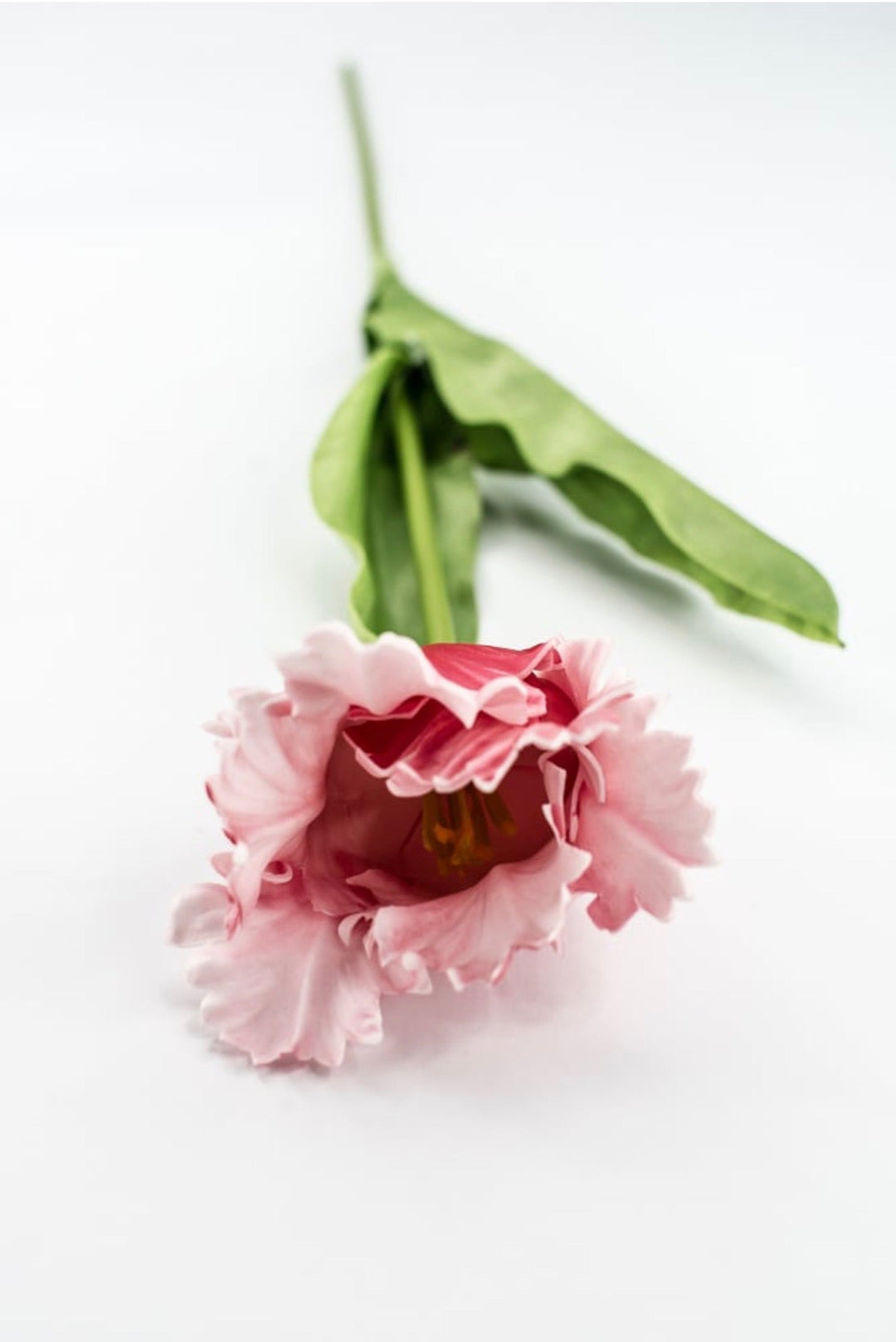 RAZ imports Pink Real Touch Parrot Tulip Stem - 22.5" Choose Color - Greenery MarketF4624585-LightPink