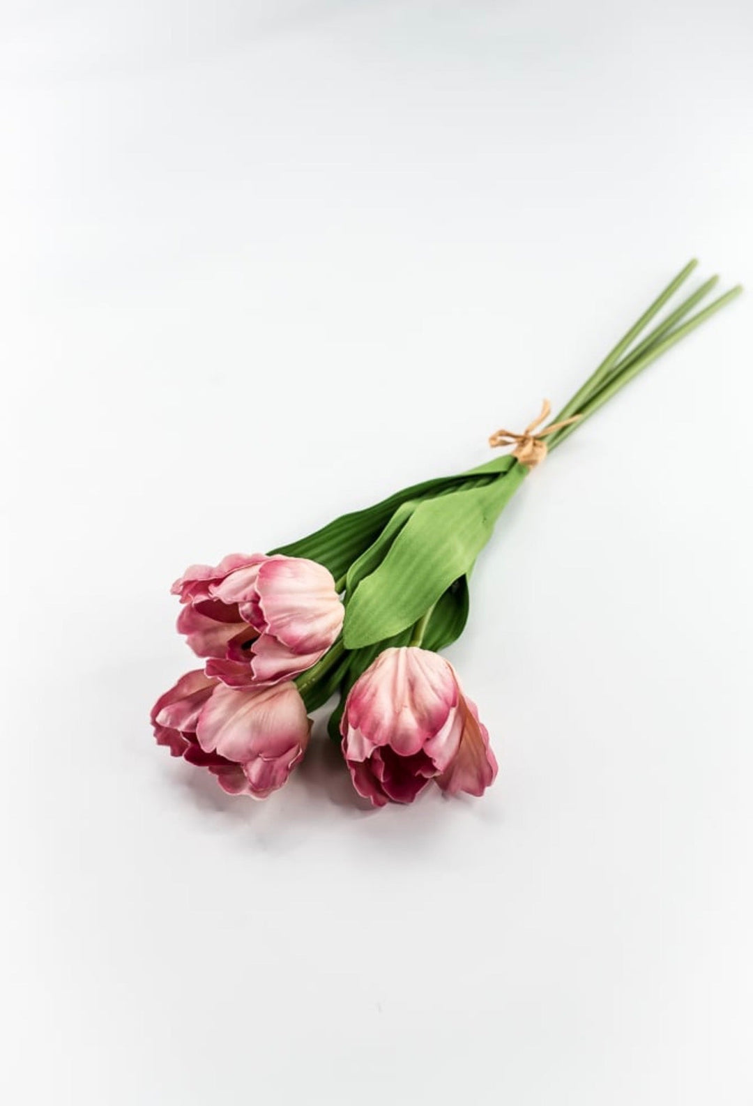 Raz imports Pink Tulip Bundle - 18" - Greenery MarketF4502137