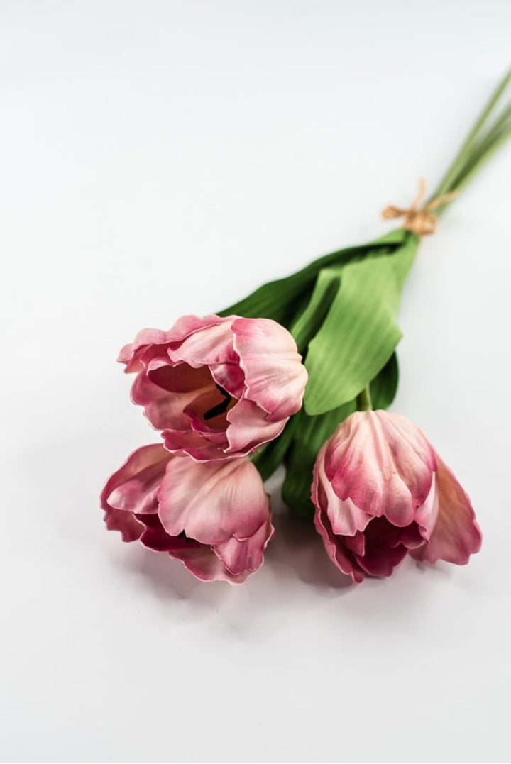 Raz imports Pink Tulip Bundle - 18" - Greenery MarketF4502137