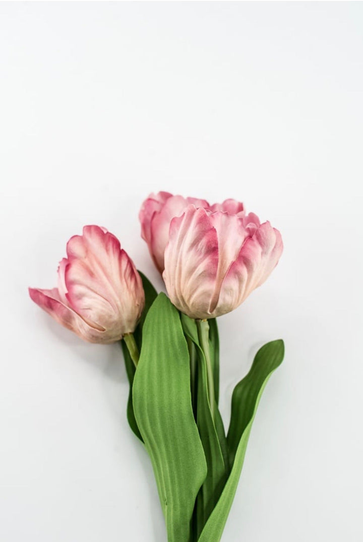 Raz imports Pink Tulip Bundle - 18" - Greenery MarketF4502137