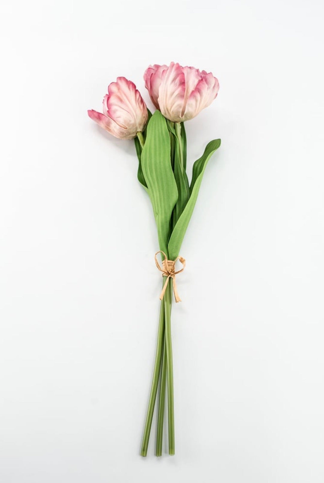 Raz imports Pink Tulip Bundle - 18" - Greenery MarketF4502137