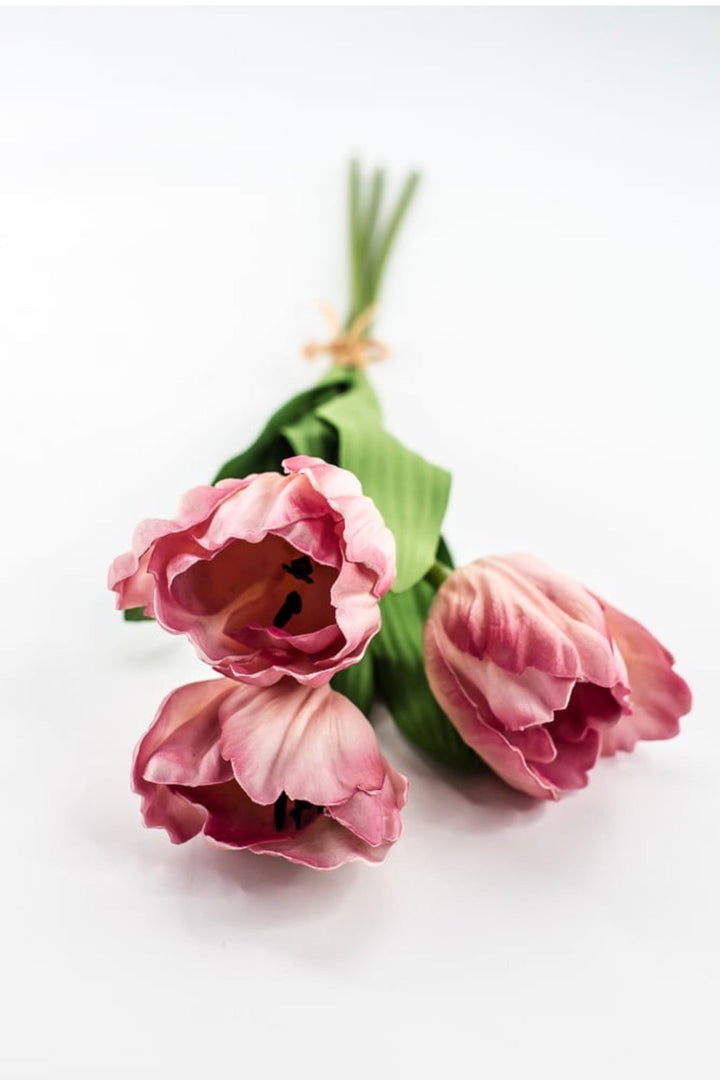 Raz imports Pink Tulip Bundle - 18" - Greenery MarketF4502137