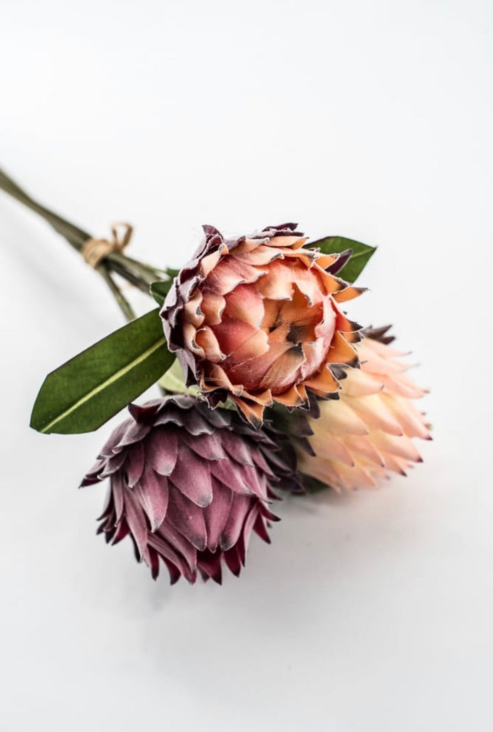 RAZ imports, Protea Bundle - 16" - Greenery MarketF4602064