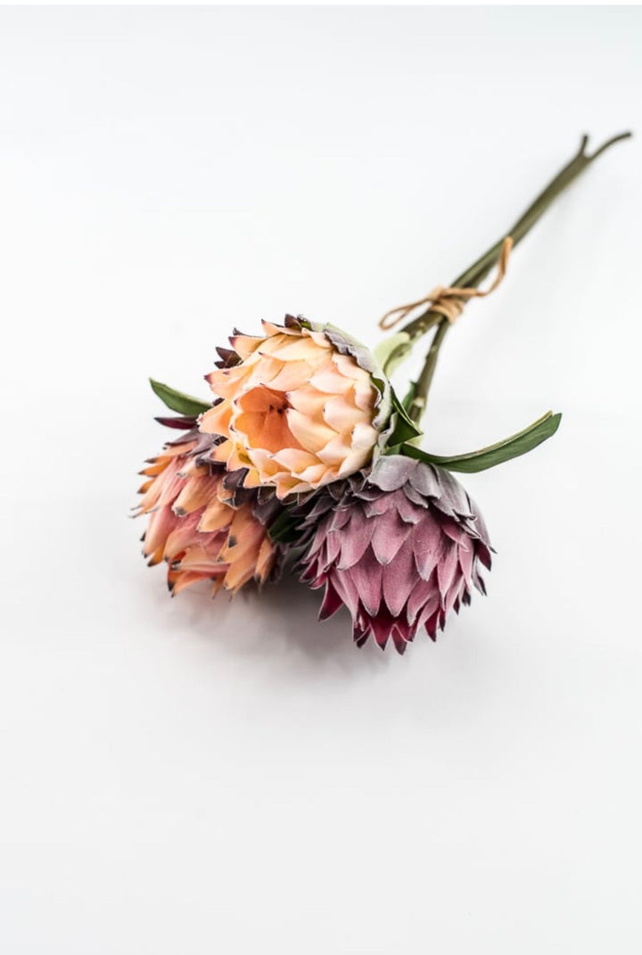 RAZ imports, Protea Bundle - 16" - Greenery MarketF4602064