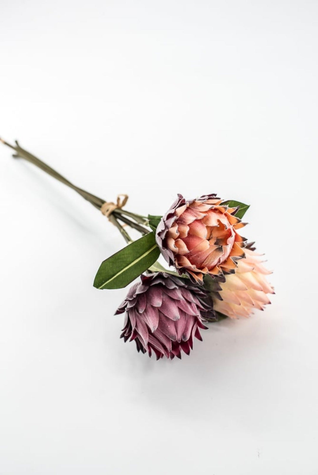 RAZ imports, Protea Bundle - 16" - Greenery MarketF4602064