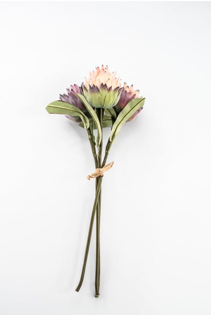 RAZ imports, Protea Bundle - 16" - Greenery MarketF4602064