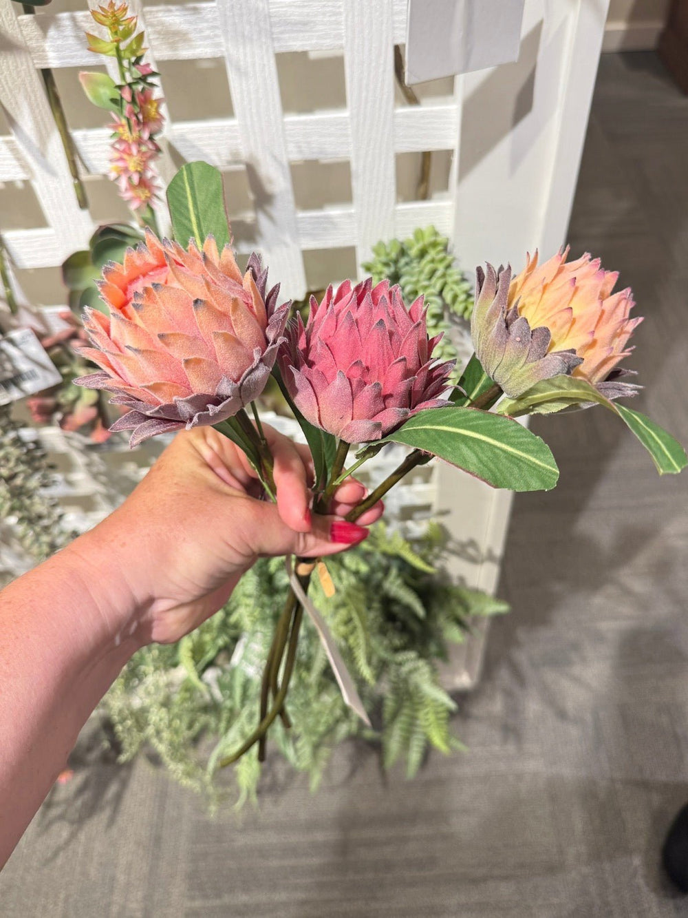 Raz imports Protea Bundle - 16" - Greenery MarketF4602064